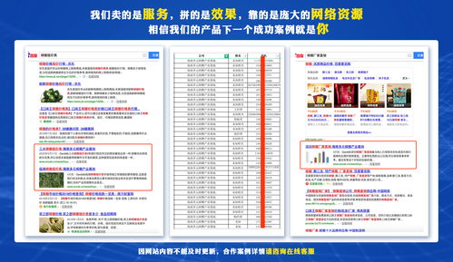 湛江產品推廣與加盟服務外包 數字化轉型與軟件外包服務的協同發展